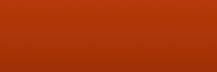 Ford Bright Bittersweet 2G color swatch