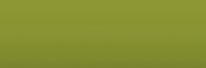 Volkswagen Hippiegruen LH6R color swatch