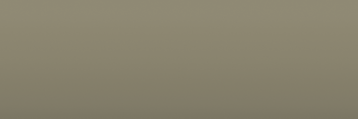 Daihatsu Beige 5T07 color swatch