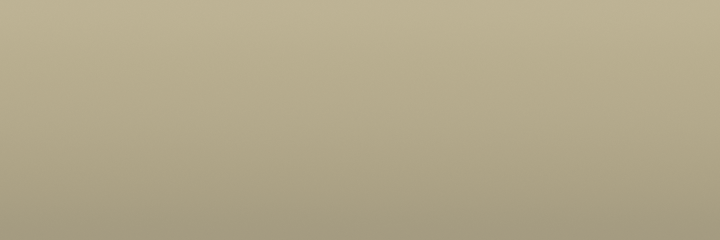 Honda Oslo Ivory YR43 color swatch