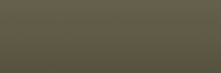 Toyota Grayish Olive 6H9 color swatch