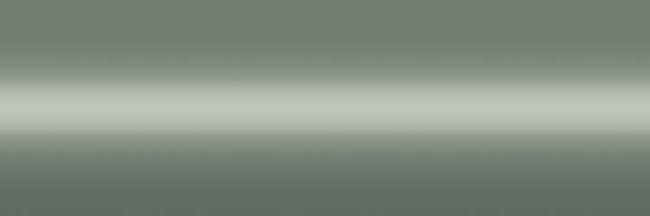 Suzuki Cool Silver Metallic 76B color swatch