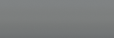 Ford Light Charcoal M5876 color swatch
