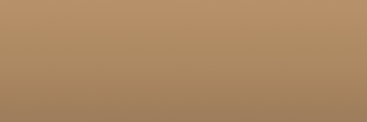 Plymouth Natural Suede Tan TT4 color swatch