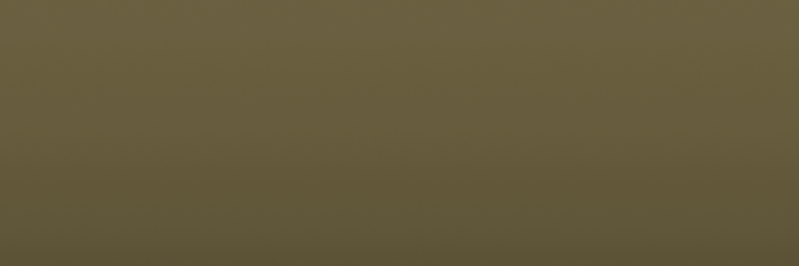 Mercedes-Benz Rheinblau 145 color swatch
