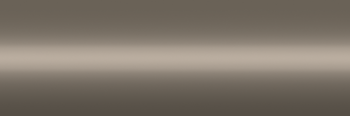 Toyota Beige Metallic 4G9 color swatch