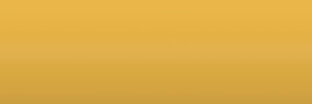 Volkswagen Amarelo Bem-Te-Vi LL1Q color swatch