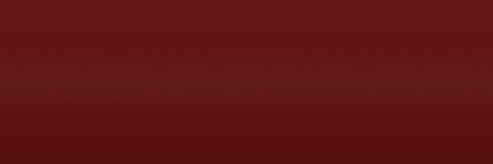 BMW Ziegelrot 365 color swatch