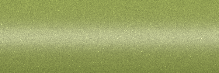 Land Rover Siberian Silver Metallic 834 color swatch