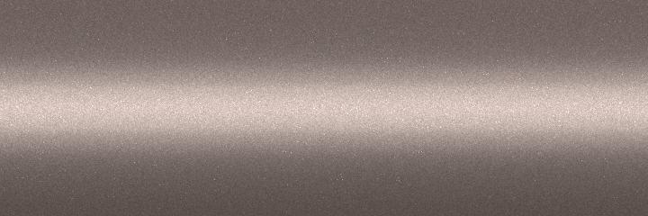 Ford Metropolitan Gray Mica MG color swatch
