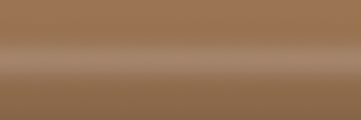 Chrysler Saddle Tan RT6 color swatch