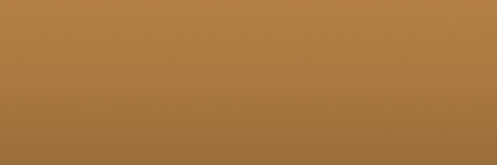 Toyota Cinnamon 4C9 color swatch