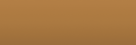 Toyota Cinnamon 4C9 color swatch