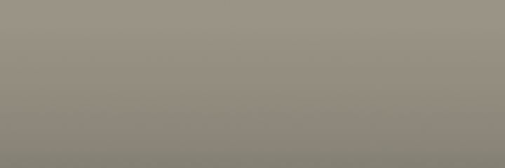 Subaru Warm Gray 88N color swatch