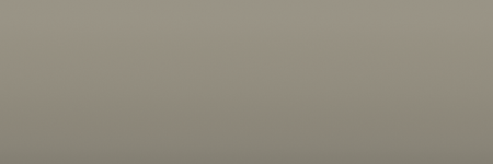 Subaru Warm Gray 88N color swatch