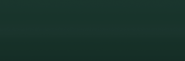 Volvo Dark Green 91407 color swatch