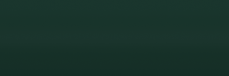 Volvo Dark Green 91407 color swatch