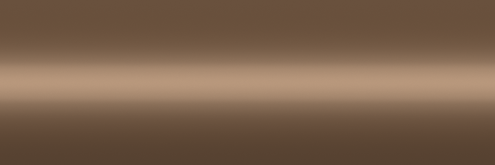 Buick Light Beechwood Metallic 57C color swatch