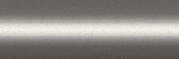 Honda Light Silver Metallic NH595M color swatch
