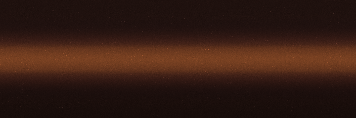 Scion Torched Penny Metallic 3R2 color swatch
