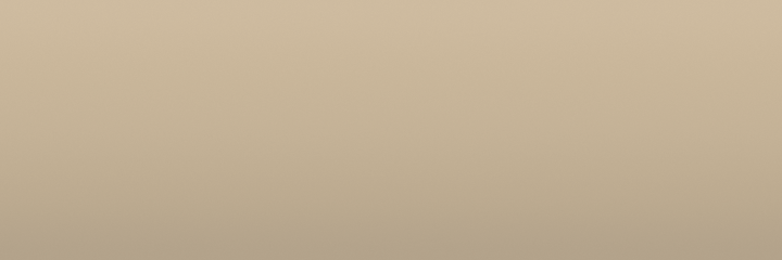 Toyota Beige 4H3 color swatch