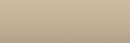 Toyota Beige 4H3 color swatch