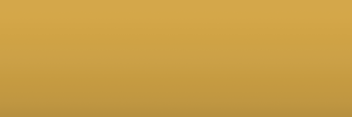 Volkswagen Savanna Gelb D1E color swatch