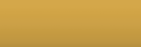 Volkswagen Savanna Gelb D1E color swatch