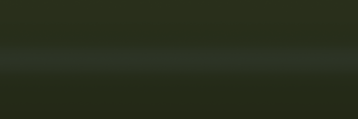 Mitsubishi Bottle Green TK5 color swatch