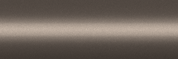 Toyota Grayish Brown Metallic 4P9 color swatch