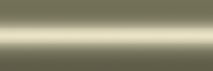 Isuzu Roman Bronze Metallic 881 color swatch