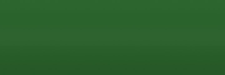 Jeep Spruce Tip Green Metallic 225 color swatch