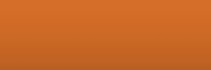 Hyundai Flower Orange BHY color swatch
