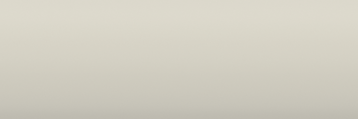 Porsche Alpine White L90E color swatch