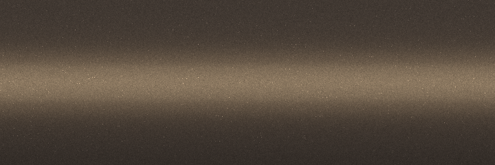 Toyota Brown Mica 4Q9 color swatch