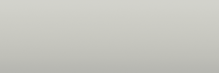 Chrysler Dove White SS1 color swatch