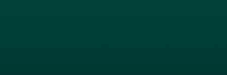 Fiat Verde Birmania 362A color swatch