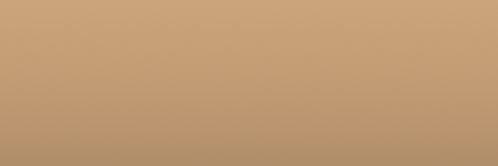 Ford Wheat Metallic 6U color swatch