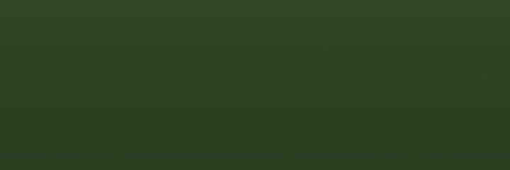 Toyota Green 6K3 color swatch