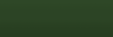 Toyota Green 6K3 color swatch