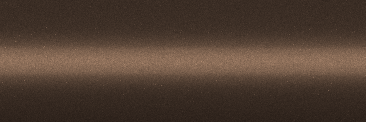 Volkswagen Aragonit Braun Metallic D8Y color swatch