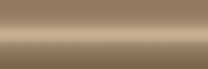 Plymouth Beige Metallic BL4 color swatch