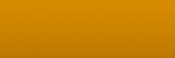 Volkswagen Rapsgelb X3 color swatch