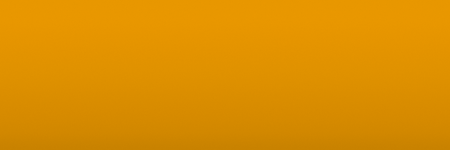 Volkswagen Dunkelgelb N1E color swatch