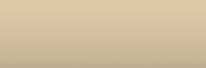 Toyota Yanmar Beige 4Q0 color swatch