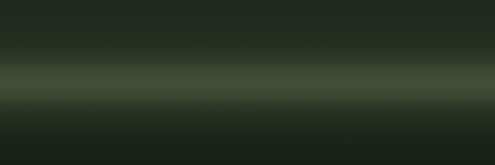 Chevrolet Forest Green Metallic 48 color swatch