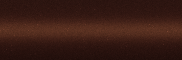 Hyundai Cinnamon Metallic SN2 color swatch