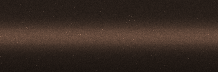 Hyundai Golden Brown Pearl WS8 color swatch