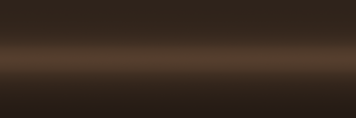 Toyota Medium Brown Metallic 4K4 color swatch