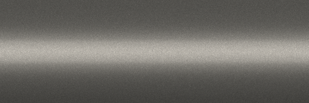 Nissan Light Gray Metallic AG06 color swatch